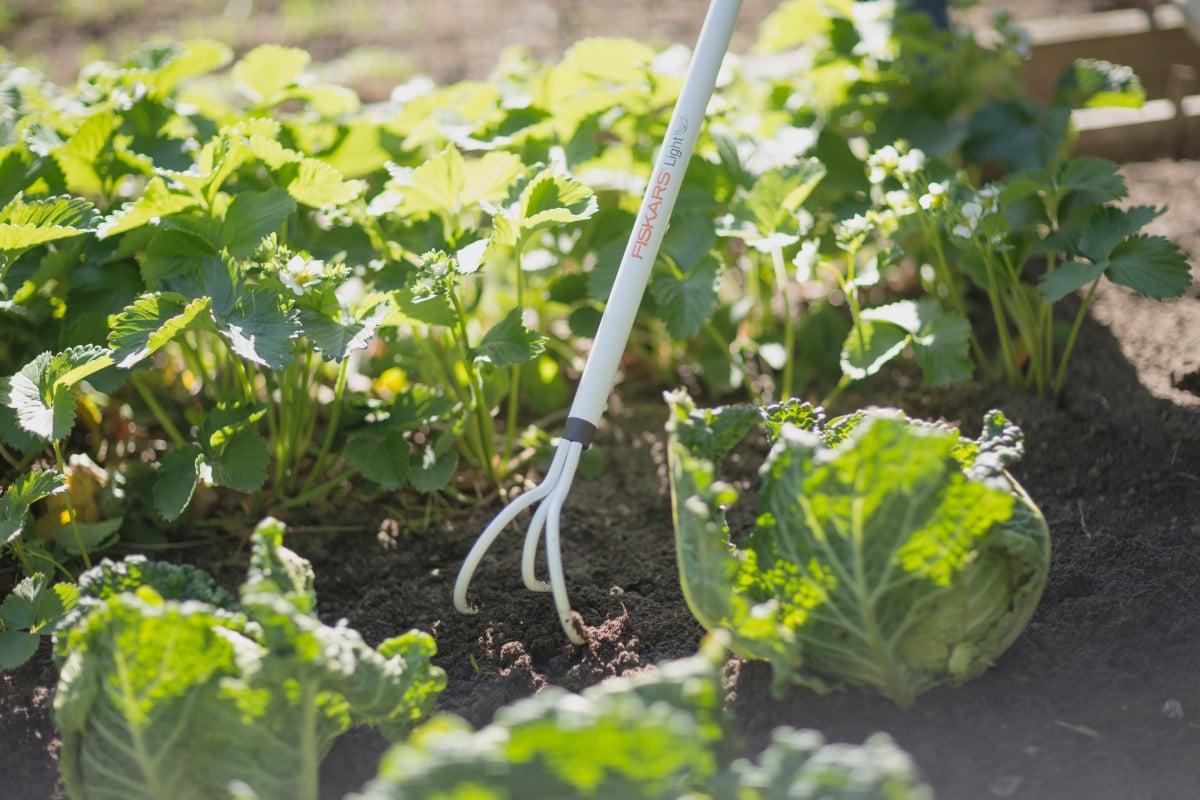 i2mjjdju1zd0pkoat00yo0kbb727ykeh