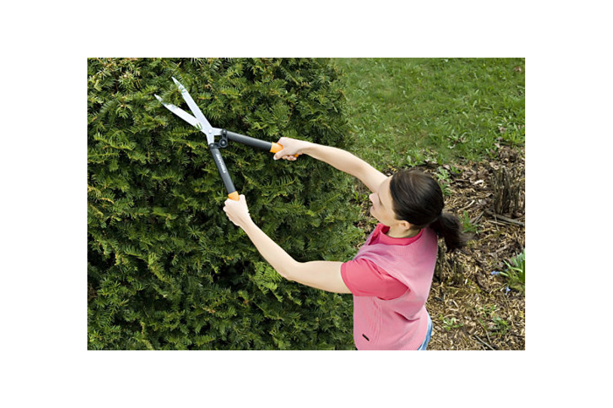 1wp1mzjlidlzr7u1mx45d2z44hyy2ma9