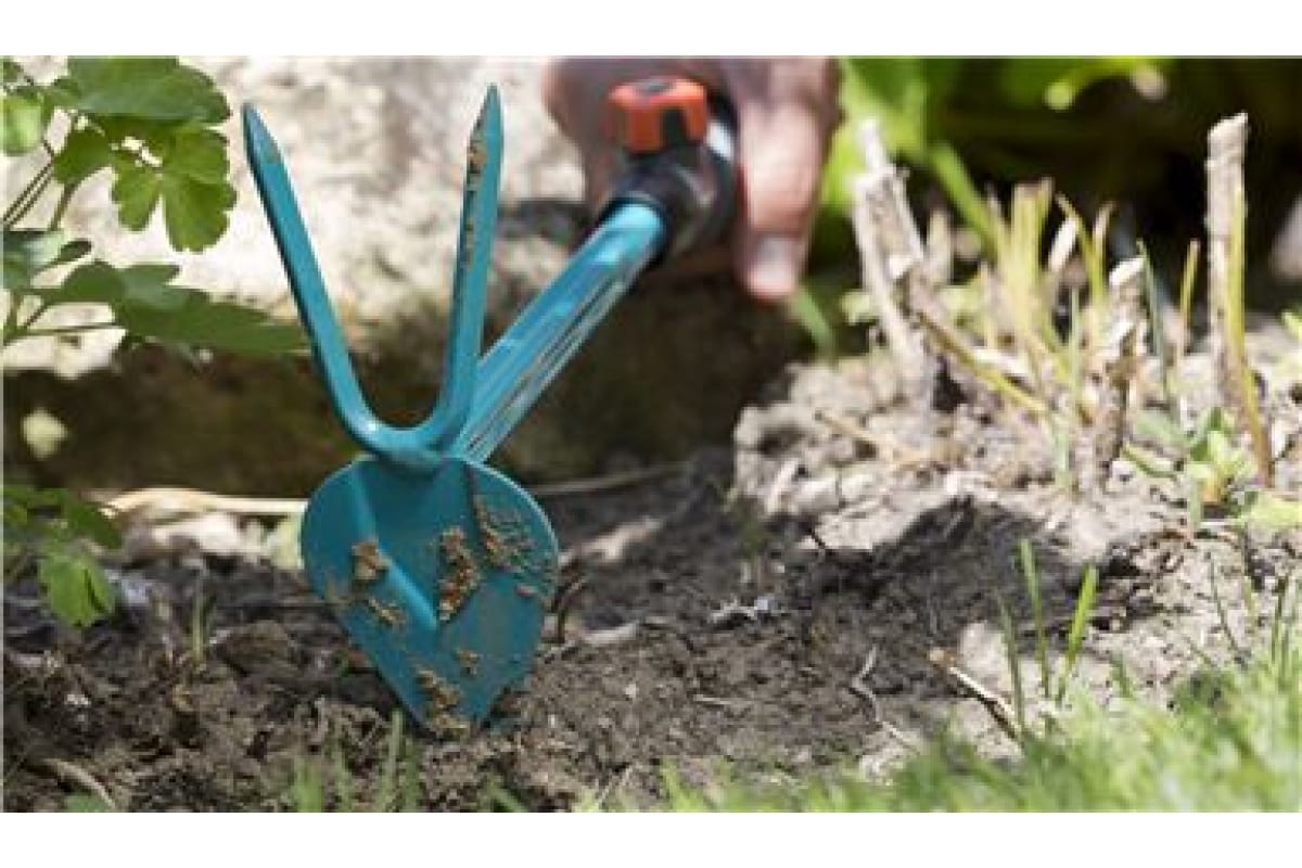 xa8gpgeixi7y2bgic9tl84xmf1d5wcn2