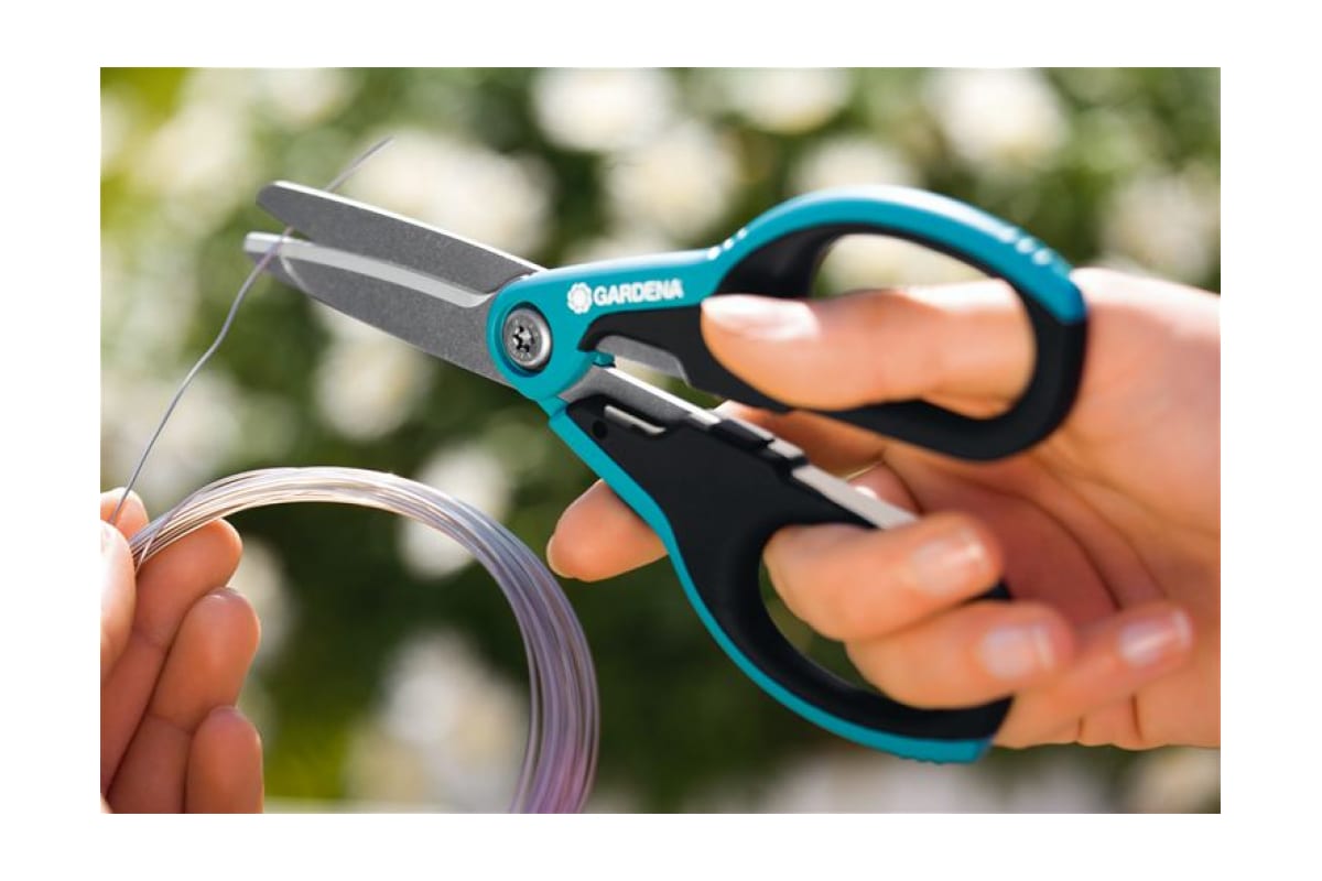 9qzkfbbguk05qr66wn1jjlbdyy0bn1se