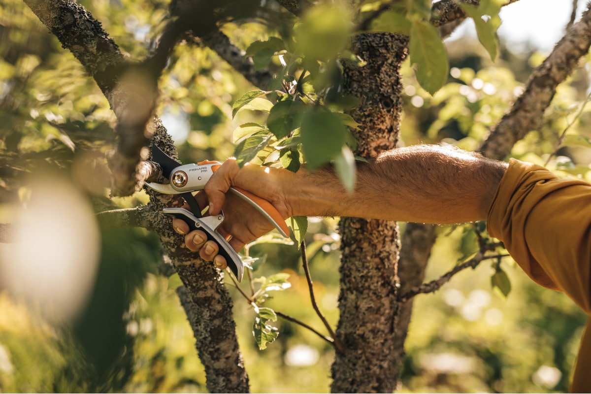 ynnhtcr00miuz4pc07a89a3u2203qht2