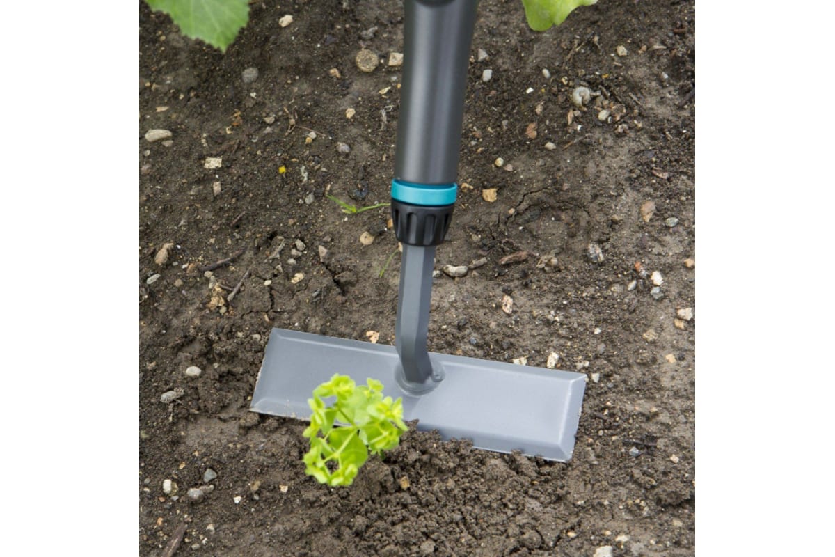 s137sq11g5og3u3r3hna616ylidukqd4