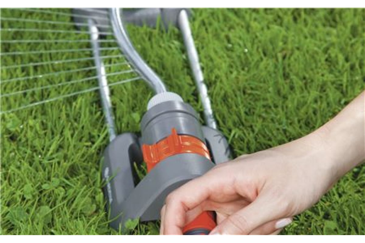 4kwze8gq8m1a5fv02k03om04qlq7o8x1