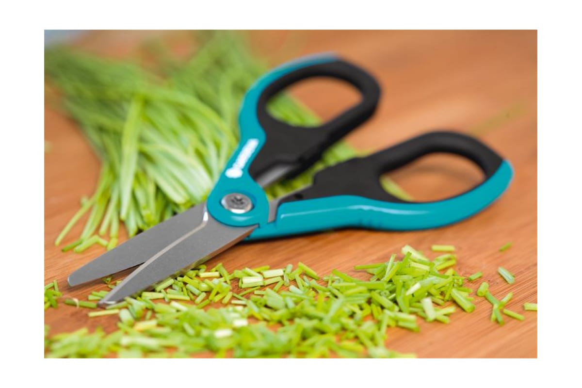 5aytekewwyts5bo02u6xngtaiuq9tmqg