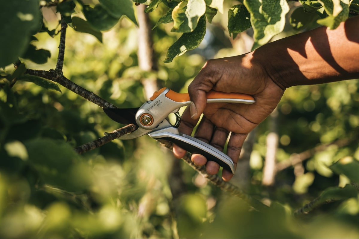 sctisvov2vjlmfesj3cj885qfssc4n4a