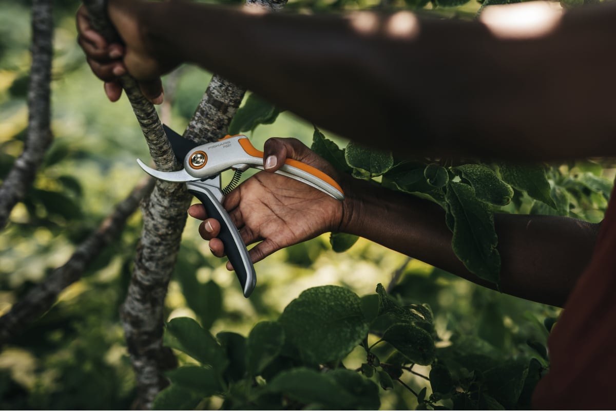 qzqpse60vuqhbjk78pmnx0q6pxrk5xs3