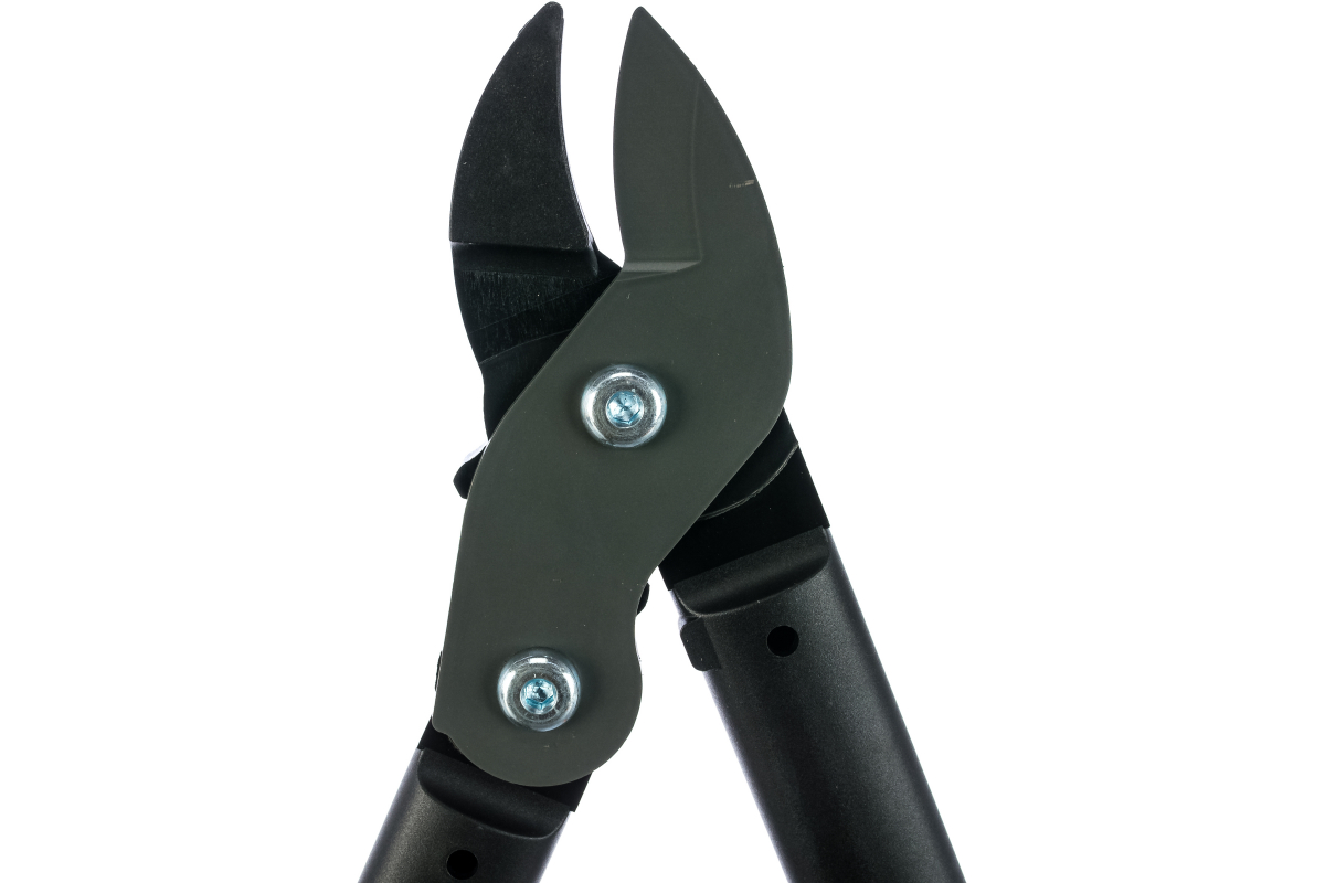 tbdyjqj04txj1mum1wix0w2ublz1gw3p