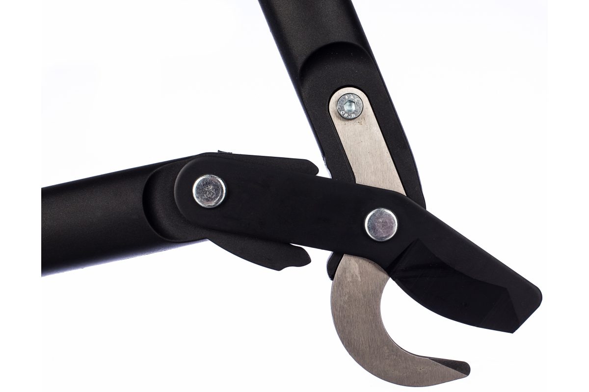 r21a4q2crv8sxo35frpje7msnvov2sm5