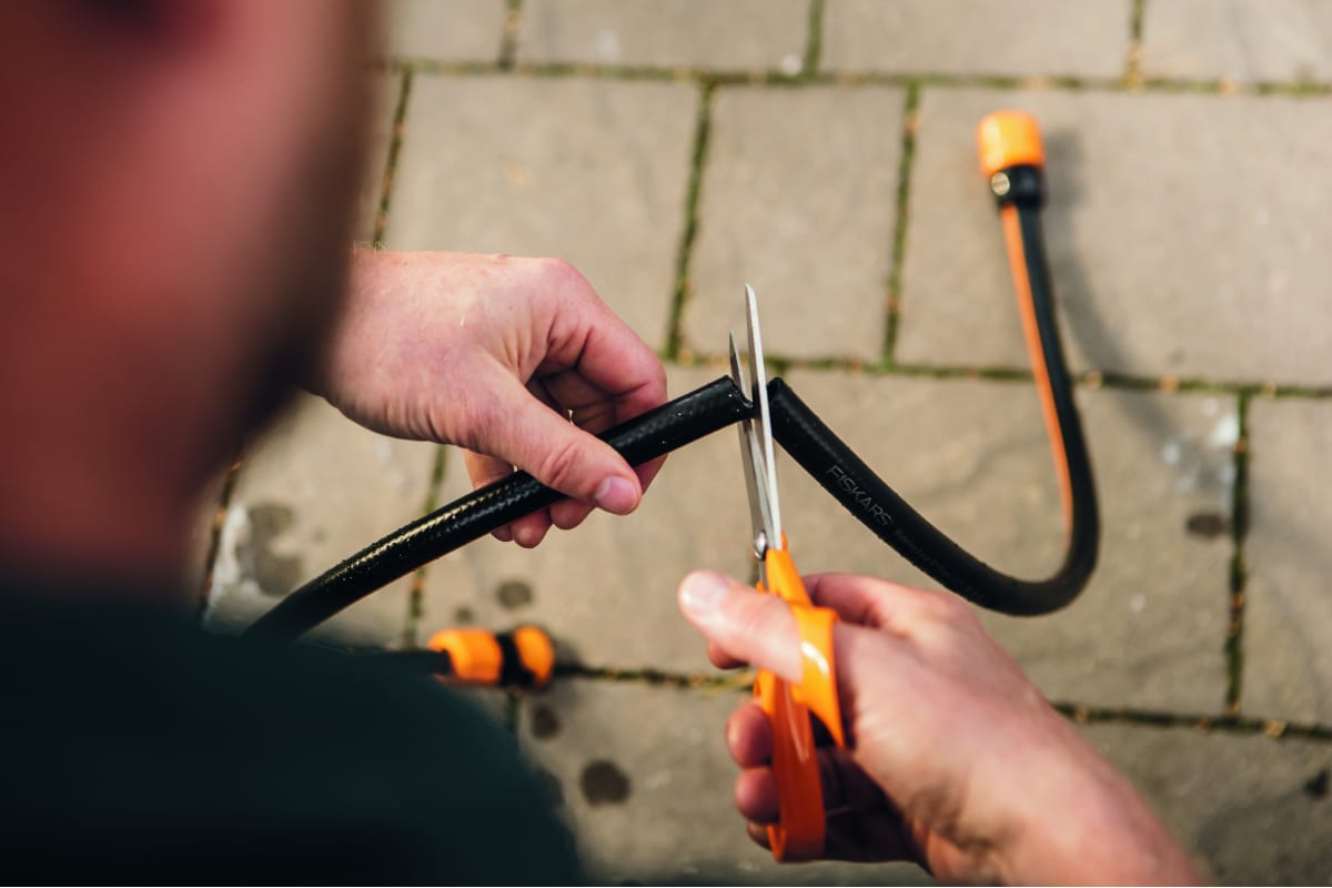 nft0asn3jkenbsv1xysrgbktgutz5lfg