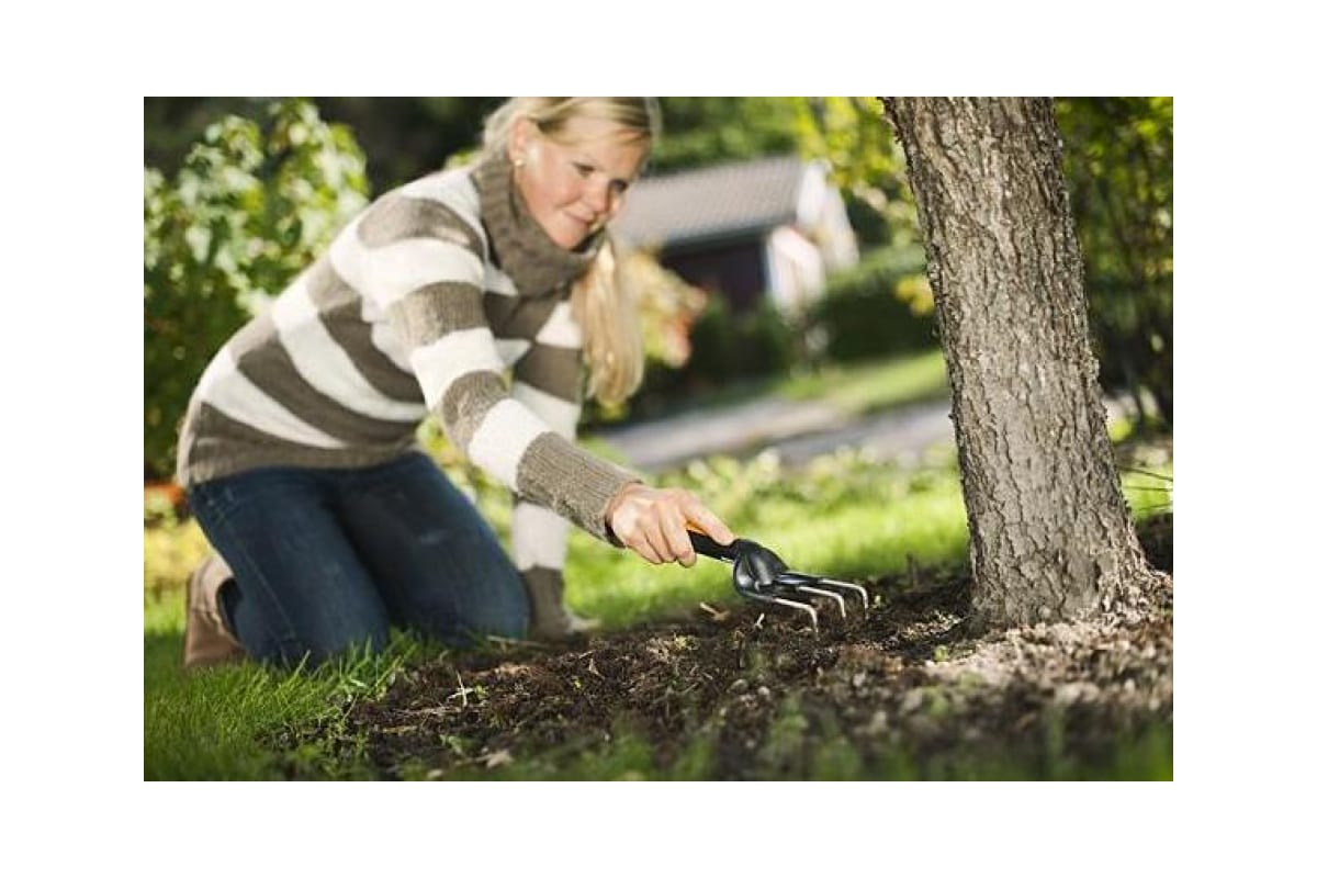 6sbya037z5cdxjyw12nv39joqqxj5pyt